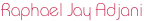 shapeimage_3_link_0